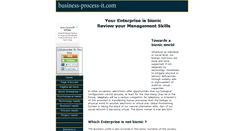 Desktop Screenshot of business-process-it.com